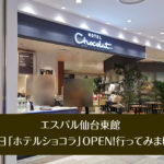 エスパル仙台東館★2月5日「ホテルショコラ」OPEN！行ってみました。